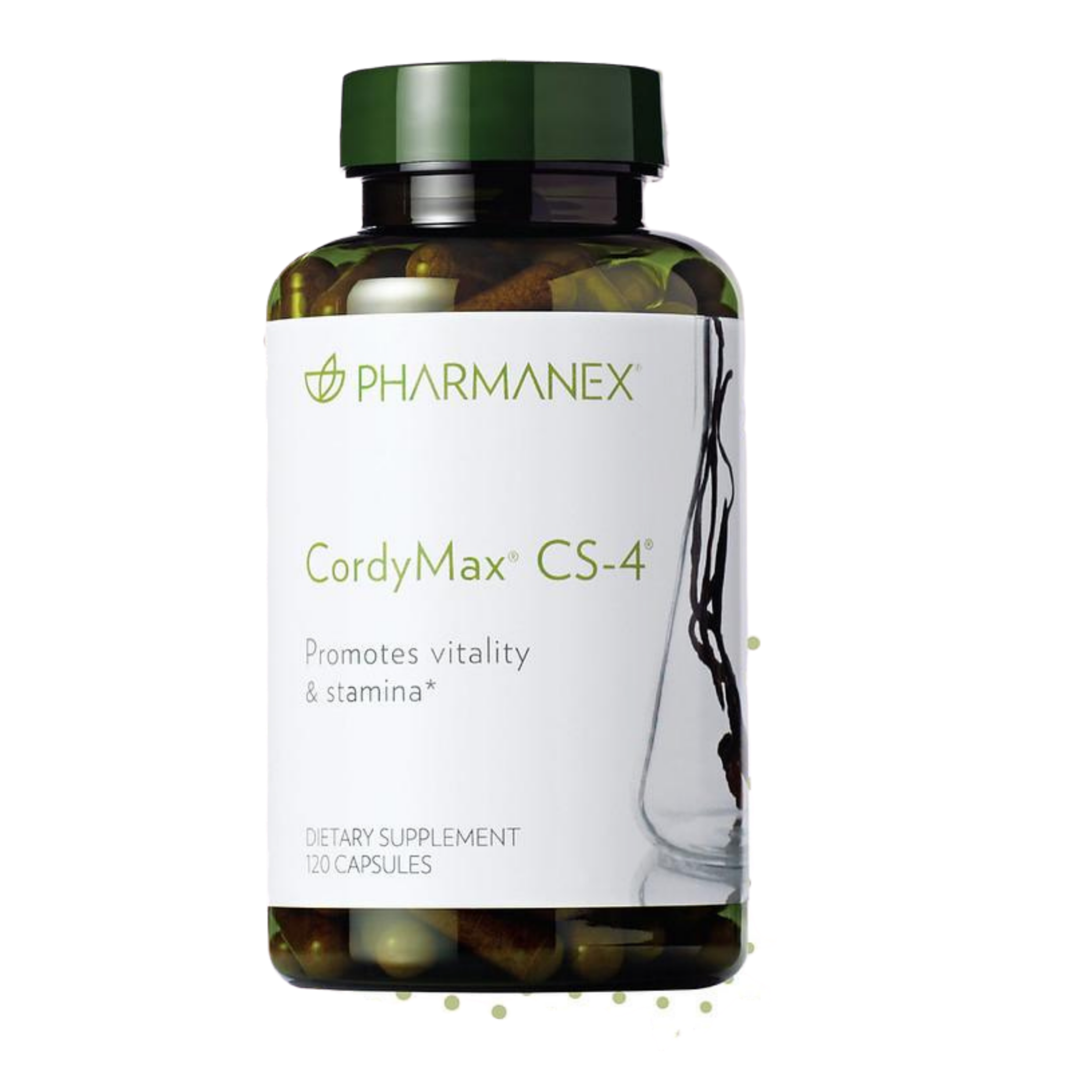 CordyMax Cs-4® Bottle SIZE